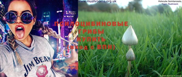 apvp Бугульма