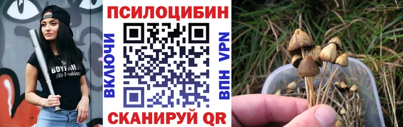 Галлюциногенные грибы мухоморы Новохопёрск