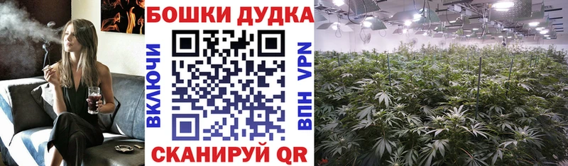 Конопля план  хочу   Новохопёрск 